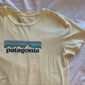 Patagonia t-shirt